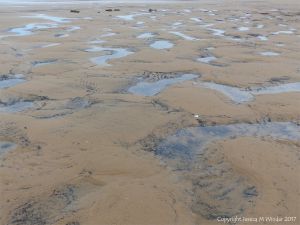 Water-filled sandy hollows on Rhossili beach, Gower