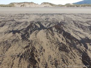Natural patterns of black drift particles at Rhossili, Gower