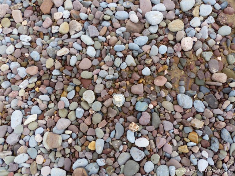 Pebbles near Diles Lake at Rhossili