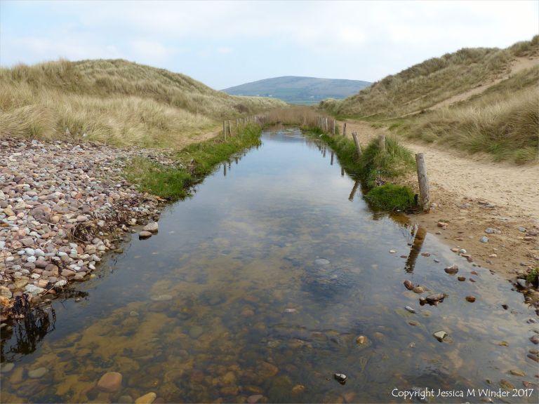 Looking landwards (east) along Diles Lake cutting through dunes at Rhossili
