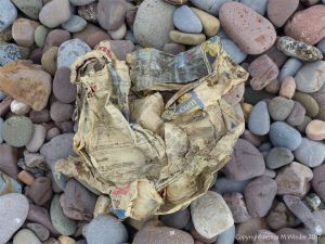 Scrunched newspaper on pebbles at Rhossili