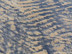 Natural patterns on a sandy beach