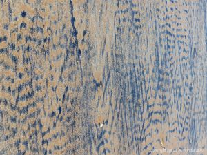 Natural patterns on a sandy beach