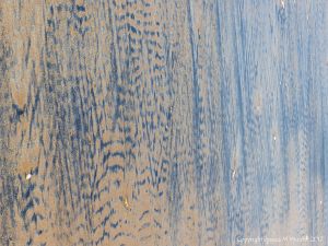 Natural patterns on a sandy beach