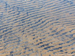 Natural patterns on a sandy beach