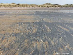 Natural patterns in black detritus on the strandline at Rhossili beach