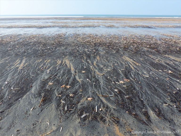 Natural patterns in black detritus on the strandline at Rhossili beach
