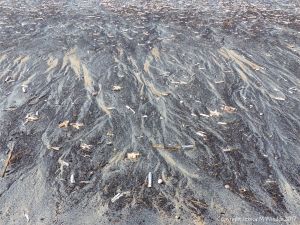 Natural patterns in black detritus on the strandline at Rhossili beach