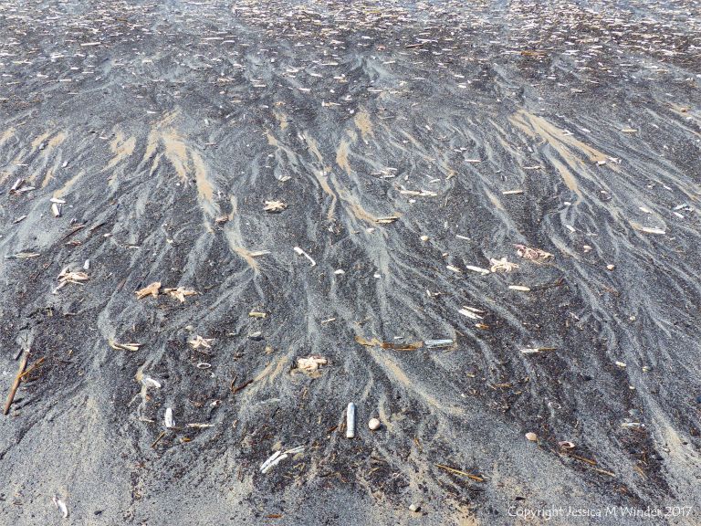 Natural patterns in black detritus on the strandline at Rhossili beach