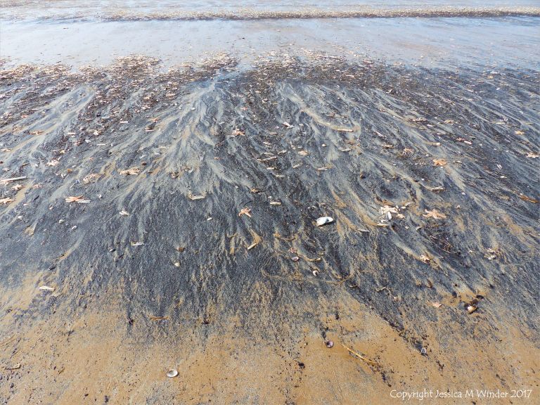 Natural patterns in black detritus on the strandline at Rhossili beach