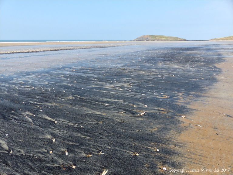 Strandline of fine black detritus on the sandy beah at Rhossili in Gower, South Wales