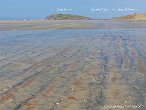 Natural patterns in the sand at Rhossili
