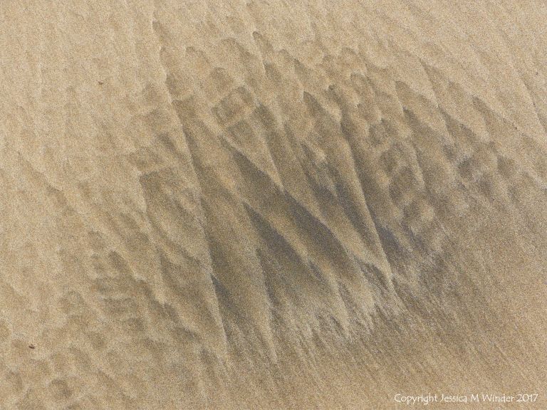 Natural patterns in the sand at Rhossili