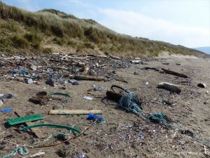Flotsam near Spaniard Rocks at Rhossili