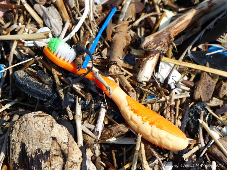 Flotsam near Spaniard Rocks at Rhossili
