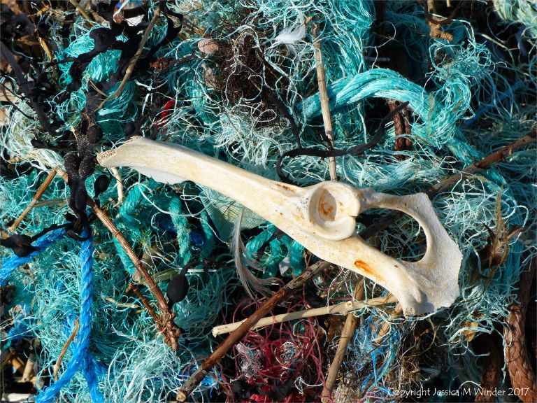 Flotsam near Spaniard Rocks at Rhossili