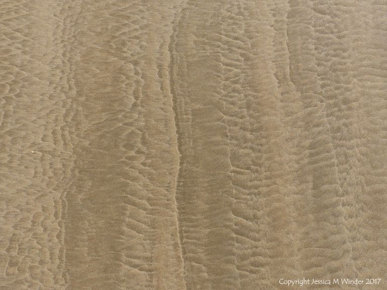 Patterns in the sand near Spaniard Rocks on Rhossili Beach in Gower