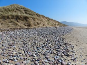 Pebbles and dunes at the top of Rhossili Beach at the Llangennith end