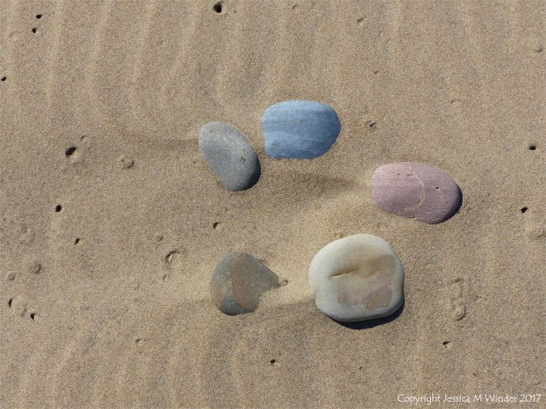 A natural arrangement of pebbles in dry sand at Rhossili in Gower