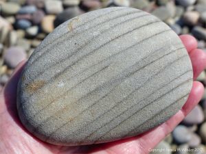 Pebble with a subtle pattern of stratification at Rhossil Beach in Gower