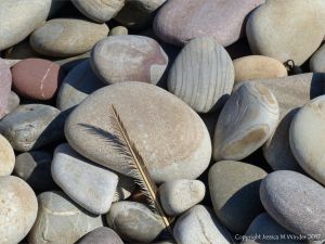 Pebbles on the beach near Llangennith Burrows at Rhossili Bay on the Gower Peninsula