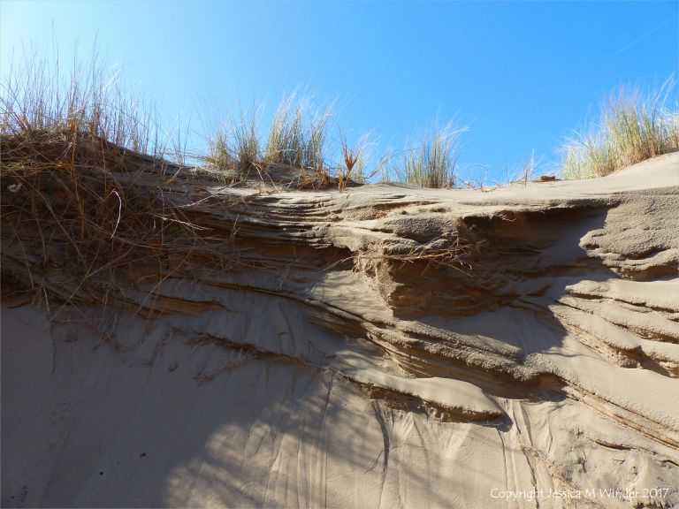 Cross-section through a sand dune showing stratification