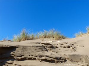 Eroded sand dune at Rhossili Beach with marram grass on top of layered cut