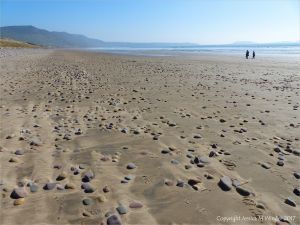 Coloured beach stones in damp sand between high and low tide levels