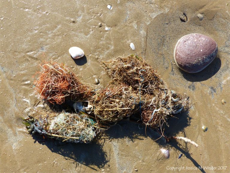 Tangled fishing line flotsam on the seashore