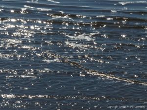 Waves of the incoming tide sparkling in the sunlight