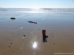 Flotsam with an orange rubber boot washed up on a sandy beach