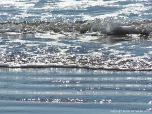 Waves and surf on the incoming tide sparkling in the sunshine
