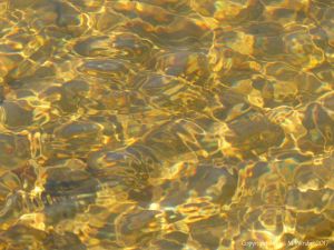 Sunlit ripple pattern on the surface of a stream