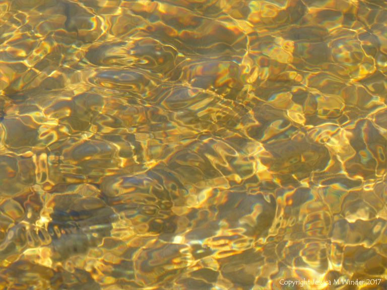 Sunlit ripple pattern on the surface of a stream