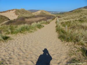 Pathway through sand dunes from Rhossili beach to Hill End car park