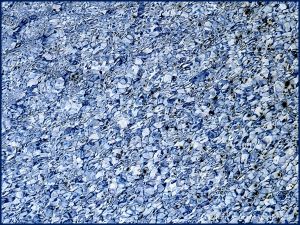 Natural patterns in wind-rippled water