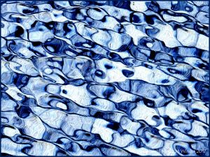 Natural patterns in wind-rippled water