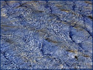 Natural patterns in wind-rippled water