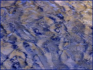 Natural patterns in wind-rippled water