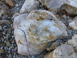 Beach boulder and pebbles at Twlc Point in Gower