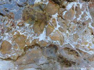 Detail of the pattern in a beach boulder at Twlc Point