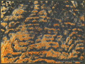 Patterns on beach sand