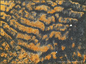 Patterns on beach sand