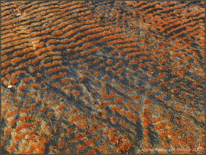 Patterns on beach sand