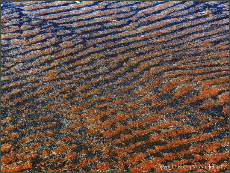 Patterns on beach sand