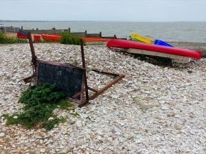 Oyster shells in a heap at Whitstable for use as cultch for collecting oyster spat