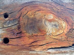Rust-stained woodgrain in old recycled timber