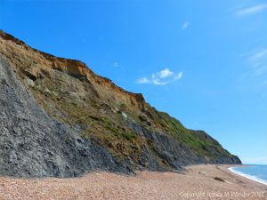 The cliffs of the east side of the beach at Seatown, Dorset, England