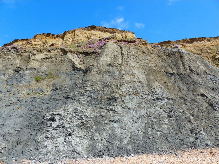 The cliffs of the east side of the beach at Seatown, Dorset, England