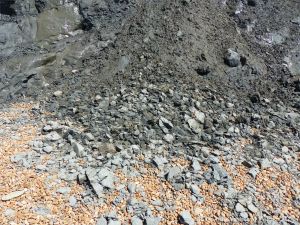 Pile of Eype Clay Member debris from a minor land clip on cliffs at Seatown